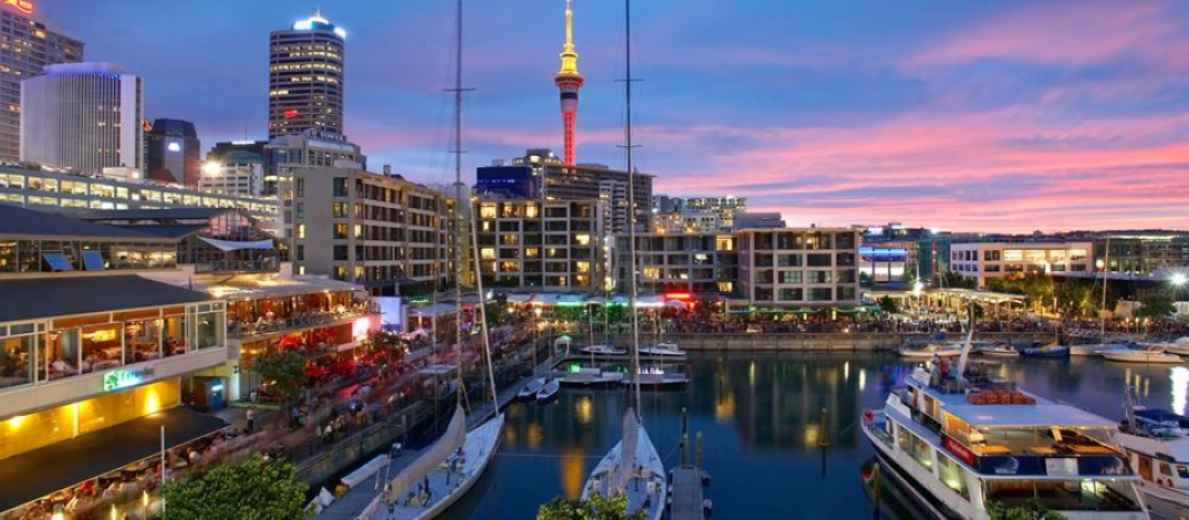 gallery/auckland5